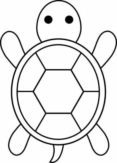 Featured image of post Baby Turtle Pictures To Color