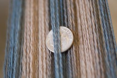 Targhee 2ply