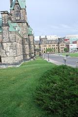 groundhog in front of Parliament