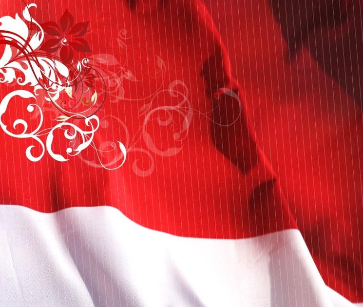 Ministry of Zero ‡ Hari Dirgahayu Kemerdekaan Indonesia ke65