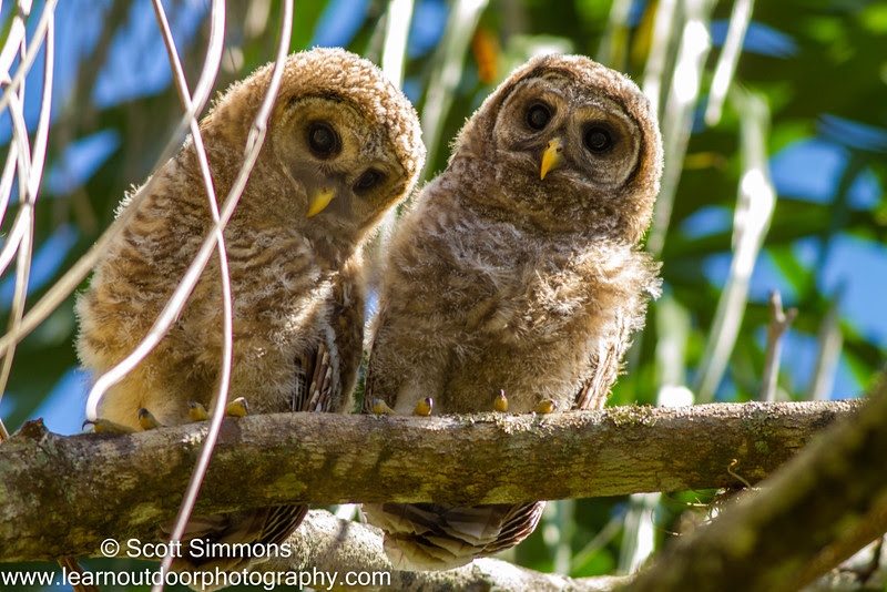 Photo & Video Sharing by SmugMug Photo & Video Sharing by SmugMug