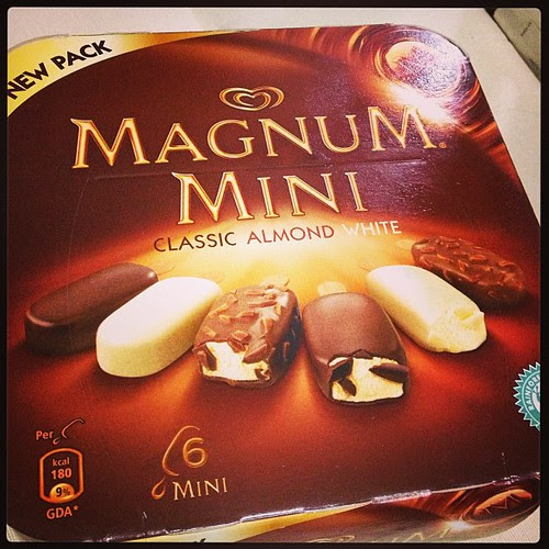 magnum mini sg