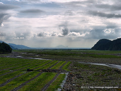 西瓜田與龜山島