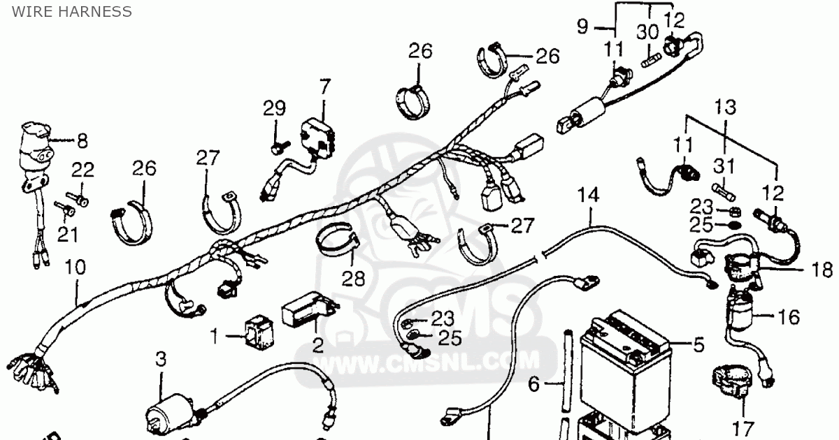 1984 Honda Moped Wiring Diagram Wiring Diagram