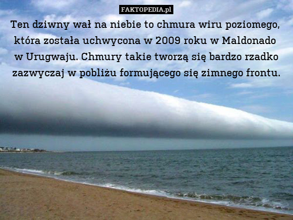Ten dziwny wał na niebie to chmura – Ten dziwny wał na niebie to chmura wiru poziomego, 
która została uchwycona w 2009 roku w Maldonado 
w Urugwaju. Chmury takie tworzą się bardzo rzadko zazwyczaj w pobliżu formującego się zimnego frontu. 