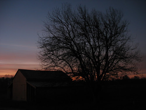 dawn8Jan08-7679