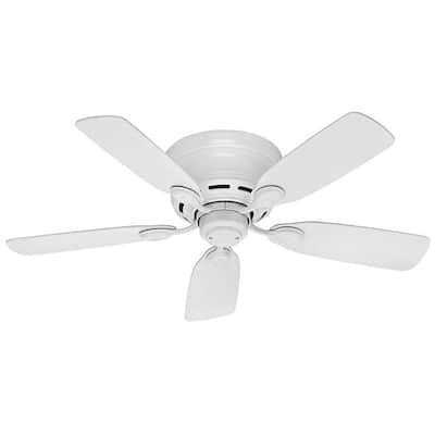 Lights For Slanted Ceiling,Light Bulbs For Ceiling Fans,Girl Ceiling Fans With Lights,Cluster Ceiling Lights Uk,Wall And Ceiling Lights To Match,Hampton Bay Ceiling Fan Light Kits,Kitchen Ceiling Lights Argos,Outdoor Ceiling Fan No Light,Low Profile Ceiling Fan Without Light,How To Install Recessed Lighting In Existing Ceiling,Ceiling Fan With Bright Light,Battery Operated Ceiling Light Fixture,Types Of Ceiling Lights,Dining Room Lights For Low Ceilings,Kids Ceiling Fans With Lights,How To Fit Ceiling Light,Ceiling Spot Light Fittings,Retro Ceiling Lights Uk,The Range Ceiling Lights,Multi Coloured Ceiling Lights,Wilko Ceiling Lights,Flush Mount Ceiling Fan With Light And Remote,Outdoor Ceiling Fans Without Lights,Flush Mount Ceiling Fan No Light,Flush Mount Ceiling Fans Without Lights,Bright Ceiling Light Fixtures,Flush Mount Ceiling Fan Without Light,Industrial Ceiling Fans With Lights,Kitchen Ceiling Fans With Bright Lights,Decorative Ceiling Light Panels,Elegant Ceiling Fans With Lights,Double Ceiling Fan With Light,Lights For Angled Ceilings,Clearly Modern Semi Flush Ceiling Light,Ceiling Light Mounting Bracket,Enclosed Ceiling Fan With Light,Hunter Ceiling Fan Light Covers,Led Ceiling Fan Light Bulbs,Ceiling Fan Led Light Bulbs,Hampton Bay Ceiling Fan Light Bulbs,Easy Fit Ceiling Lights,Universal Ceiling Fan Light Kits,Beacon Lighting Ceiling Fans,Hampton Bay Ceiling Fan Light Cover,Colour Changing Ceiling Lights,B & Q Ceiling Lights,Change Light Bulb High Ceiling,High Ceiling Light Bulb Changer,Modern Ceiling Fans With Lights And Remote,Outdoor Ceiling Fan With Light And Remote,Ceiling Fans With Remote Control And Light,Lighting Direct Ceiling Fans,Tropical Ceiling Fan With Light,Ceiling Fan With Crystal Light Kit,24 Ceiling Fan With Light,Led Lights For Garage Ceiling,Entryway Lights Ceiling,White Flush Mount Ceiling Fan With Light,Childrens Ceiling Fans With Lights,Nautical Flush Mount Ceiling Light,Antique White Ceiling Fan With Light,Battery Powered Ceiling Light Fixtures,Designer Ceiling Lights Uk,Vit Oak Wall Clock,Battery Operated Picture Wall Lights,Bathroom Wall Lights B&Q,Battery Operated Wall Mounted Lights,Moroccan Outdoor Wall Lights,Solar Brick Wall Lights,Fused Glass Wall Lights,Wall Picture Lights Battery Operated,Light Switch Controls Wall Outlet,Wall Clock With Led Light,Pull Switches For Wall Lights,12 Volt Outdoor Wall Lights,Wall Light Fittings B&Q,Ikea Plug In Wall Lights,Wall Mount Light Fixtures Indoor,Switched Wall Reading Lights Lights For Slanted Ceiling,Light Bulbs For Ceiling Fans,Girl Ceiling Fans With Lights,Cluster Ceiling Lights Uk,Wall And Ceiling Lights To Match,Hampton Bay Ceiling Fan Light Kits,Kitchen Ceiling Lights Argos,Outdoor Ceiling Fan No Light,Low Profile Ceiling Fan Without Light,How To Install Recessed Lighting In Existing Ceiling,Ceiling Fan With Bright Light,Battery Operated Ceiling Light Fixture,Types Of Ceiling Lights,Dining Room Lights For Low Ceilings,Kids Ceiling Fans With Lights,How To Fit Ceiling Light,Ceiling Spot Light Fittings,Retro Ceiling Lights Uk,The Range Ceiling Lights,Multi Coloured Ceiling Lights,Wilko Ceiling Lights,Flush Mount Ceiling Fan With Light And Remote,Outdoor Ceiling Fans Without Lights,Flush Mount Ceiling Fan No Light,Flush Mount Ceiling Fans Without Lights,Bright Ceiling Light Fixtures,Flush Mount Ceiling Fan Without Light,Industrial Ceiling Fans With Lights,Kitchen Ceiling Fans With Bright Lights,Decorative Ceiling Light Panels,Elegant Ceiling Fans With Lights,Double Ceiling Fan With Light,Lights For Angled Ceilings,Clearly Modern Semi Flush Ceiling Light,Ceiling Light Mounting Bracket,Enclosed Ceiling Fan With Light,Hunter Ceiling Fan Light Covers,Led Ceiling Fan Light Bulbs,Ceiling Fan Led Light Bulbs,Hampton Bay Ceiling Fan Light Bulbs,Easy Fit Ceiling Lights,Universal Ceiling Fan Light Kits,Beacon Lighting Ceiling Fans,Hampton Bay Ceiling Fan Light Cover,Colour Changing Ceiling Lights,B & Q Ceiling Lights,Change Light Bulb High Ceiling,High Ceiling Light Bulb Changer,Modern Ceiling Fans With Lights And Remote,Outdoor Ceiling Fan With Light And Remote,Ceiling Fans With Remote Control And Light,Lighting Direct Ceiling Fans,Tropical Ceiling Fan With Light,Ceiling Fan With Crystal Light Kit,24 Ceiling Fan With Light,Led Lights For Garage Ceiling,Entryway Lights Ceiling,White Flush Mount Ceiling Fan With Light,Childrens Ceiling Fans With Lights,Nautical Flush Mount Ceiling Light,Antique White Ceiling Fan With Light,Battery Powered Ceiling Light Fixtures,Designer Ceiling Lights Uk,Vit Oak Wall Clock Battery Operated Picture Wall Lights Bathroom Wall Lights B&Q Battery Operated Wall Mounted Lights Moroccan Outdoor Wall Lights Solar Brick Wall Lights Fused Glass Wall Lights Wall Picture Lights Battery Operated Light Switch Controls Wall Outlet Wall Clock With Led Light Pull Switches For Wall Lights 12 Volt Outdoor Wall Lights Wall Light Fittings B&Q Ikea Plug In Wall Lights Wall Mount Light Fixtures Indoor Switched Wall Reading Lights