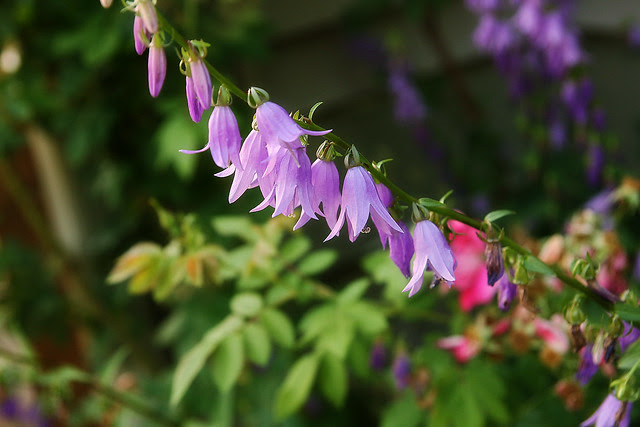 bells