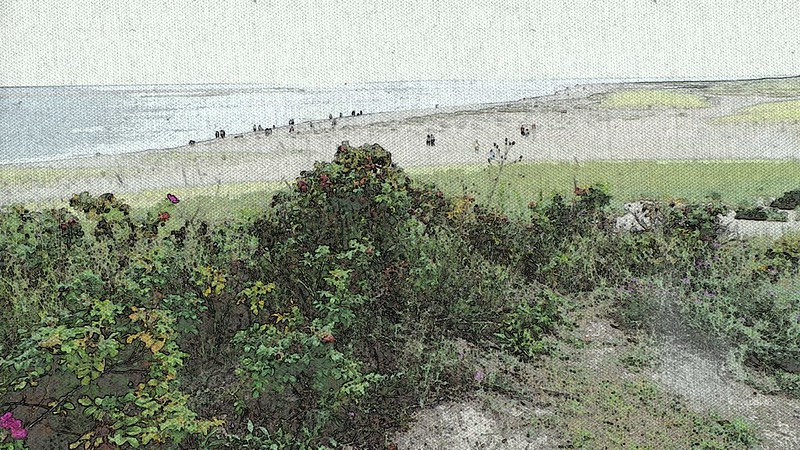 Chatham Lighthouse Beach
