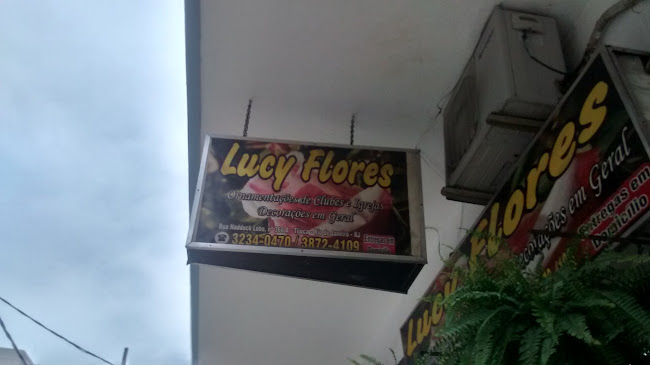 Comentários e avaliações sobre Lucy Flores