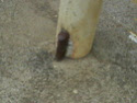 http://i20.servimg.com/u/f20/15/80/53/68/th/a_trav10.jpg