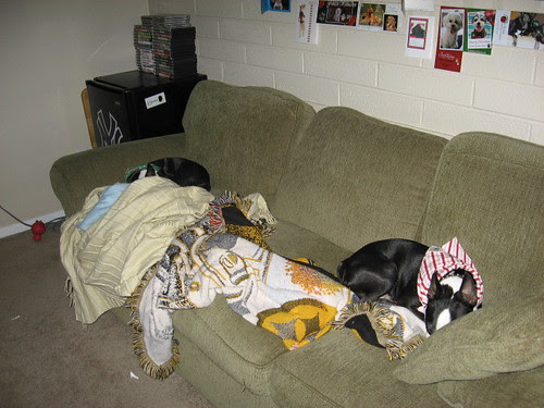 pooped