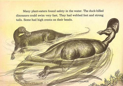 Swimming Duckbills