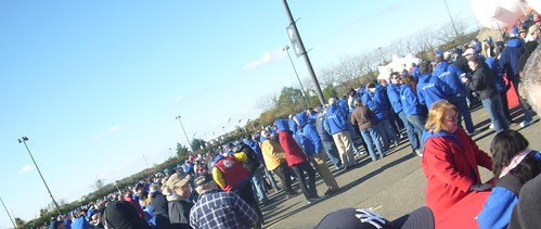 thecrowd
