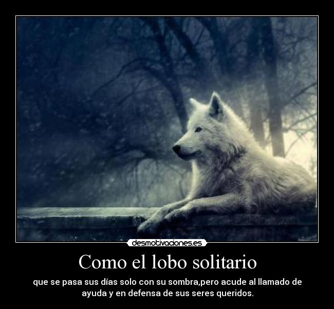 Featured image of post Lobo Solitario Frases Tristes