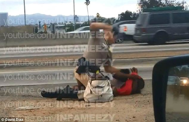 Attack: The motorist said he saw the trooper hit her as many as 15 times with hard blows to the head