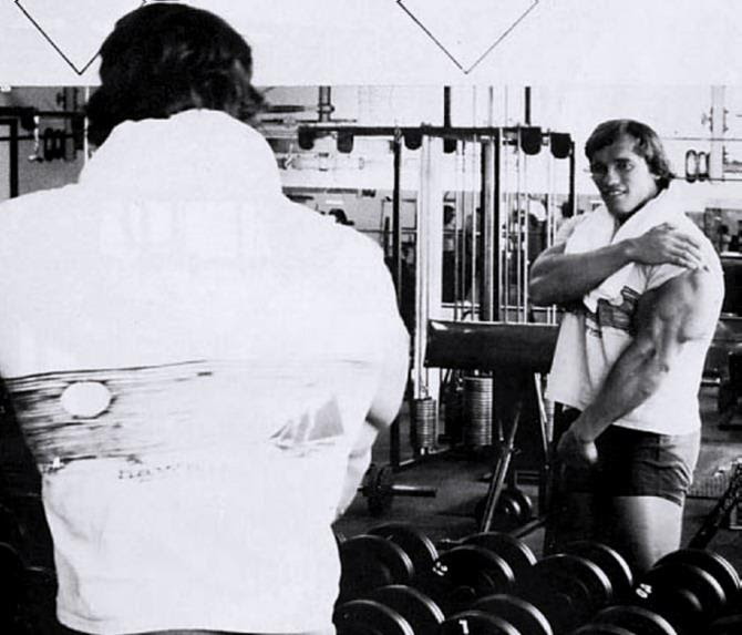 6 Day Arnold Schwarzenegger Triceps Workout Video for Beginner