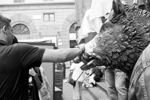 Cinghiale
