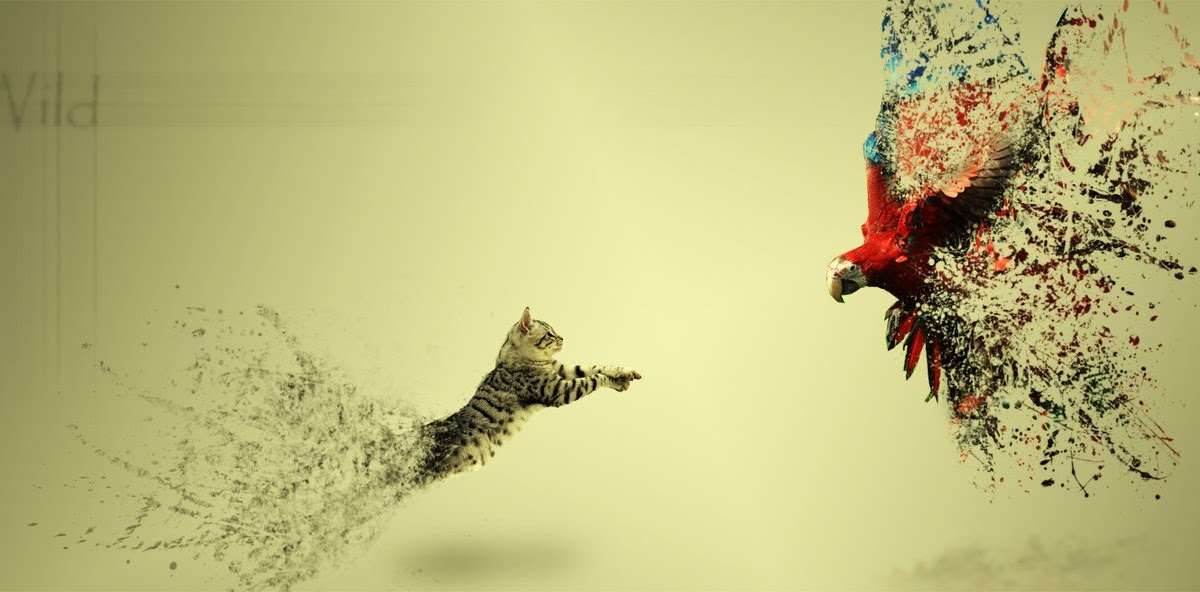 Top Download Gambar Foto Sampul Fb Goodgambar
