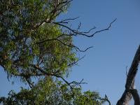 Free Image Hosting at www.ImageShack.us