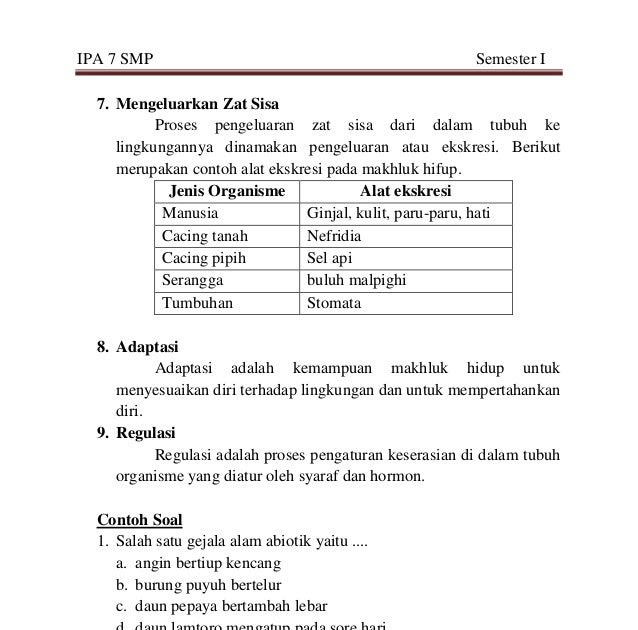 Contoh Soal Dan Jawaban Gejala Alam Biotik Dan Abiotik