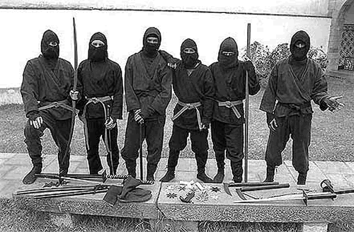 http://whathappenedtotoby.files.wordpress.com/2008/02/ninja_true-ninjas.gif