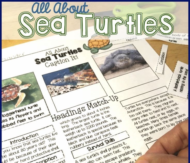 45+ free science reading comprehension worksheets - GlennLucille