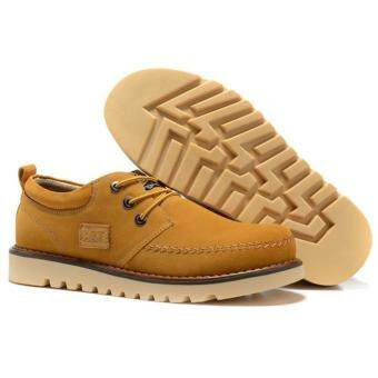 cat drover wp