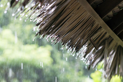 Rain in Khao Sok