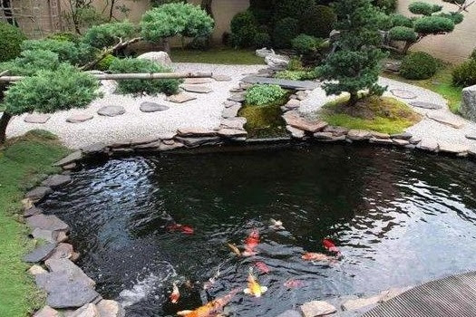 Bikin Kolam Taman Depan Rumah - KOLAMA