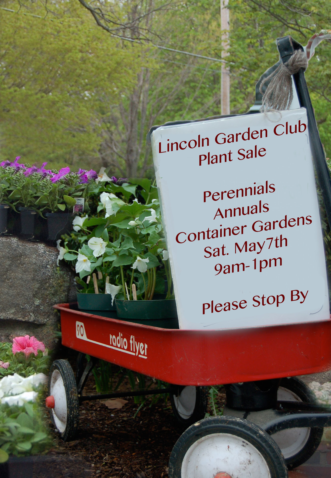 garden-club-program-ideas-homsgarden