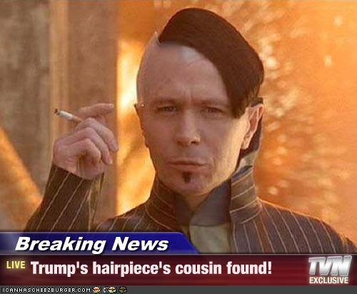 Trump And The Art Of donald trump hair piece. Trump And The Art Of