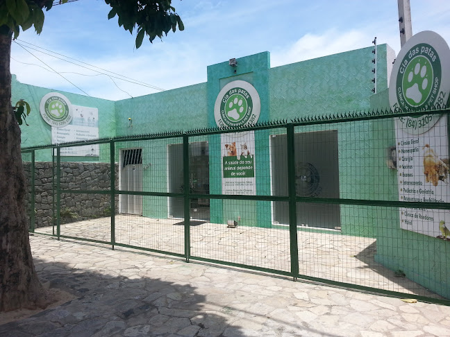 Cia das Patas Clínica Veterinária e Pet Shop - Veterinário