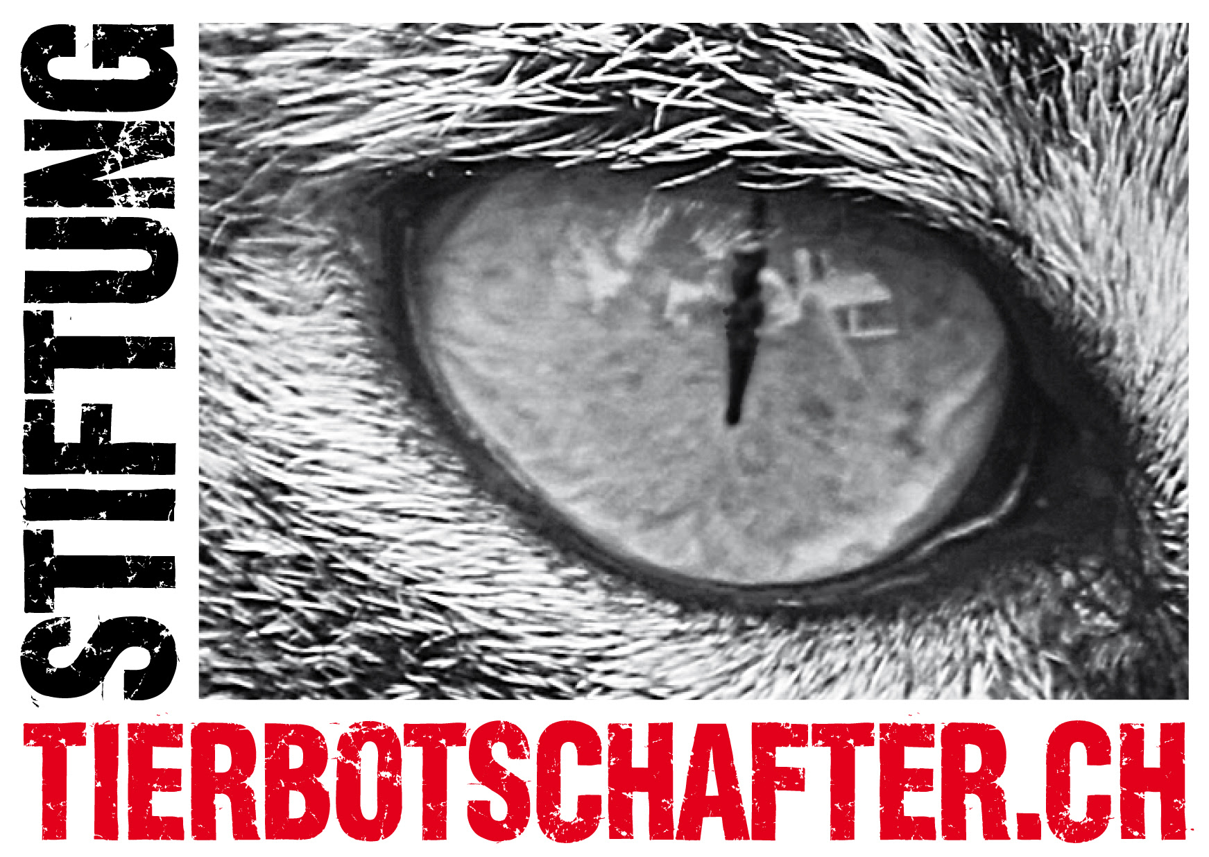 Tierbotschafter.ch