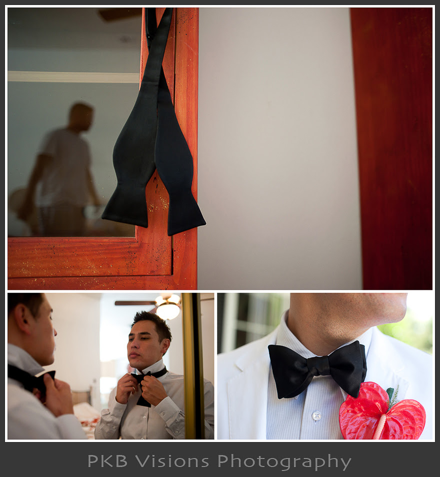 tiffa_braz_wedding_05.jpg