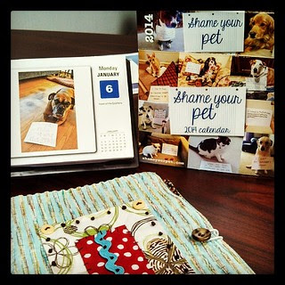 Matt got me the best #desk #calendar this year! #ShameYourPet #dogs #petstagram #dogstagram