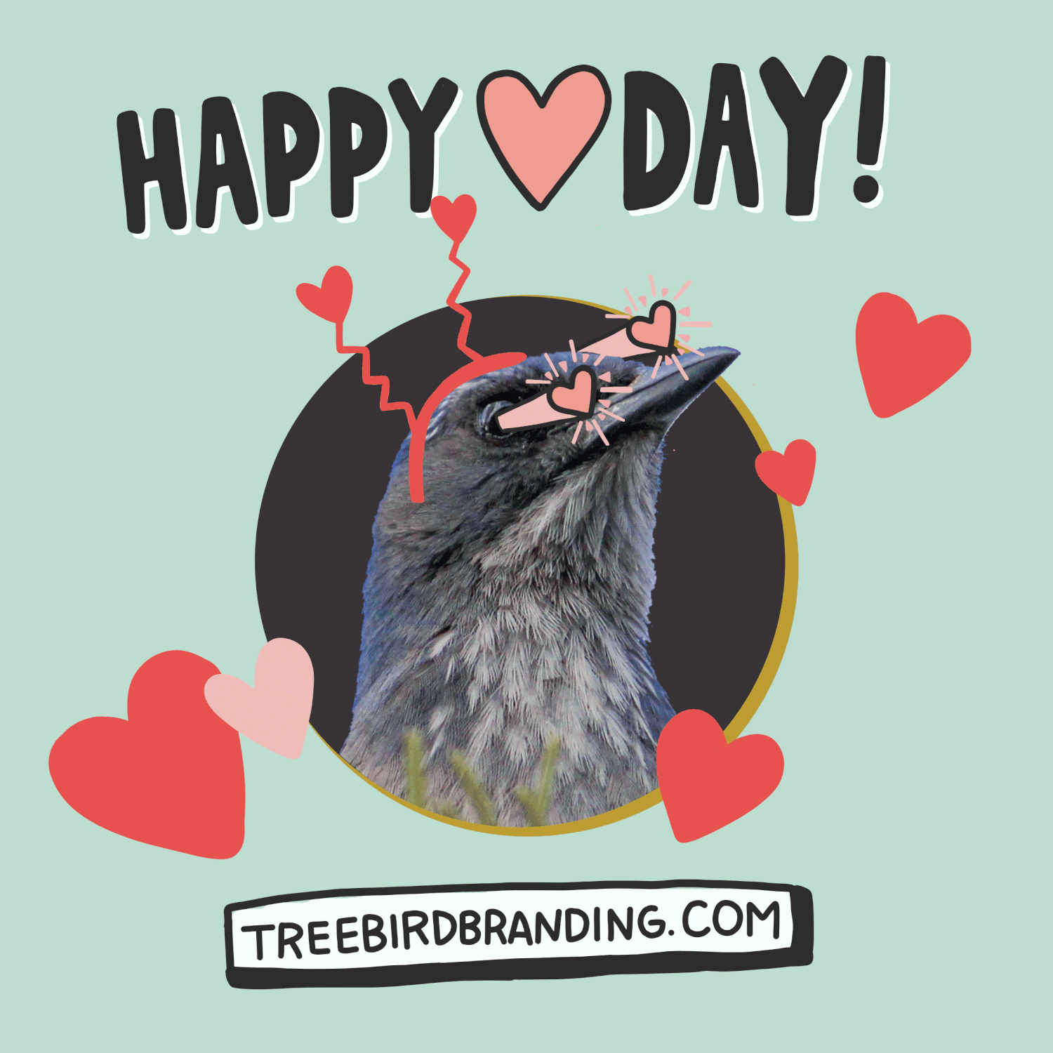 Animated Happy Valentines Day Cat Gif