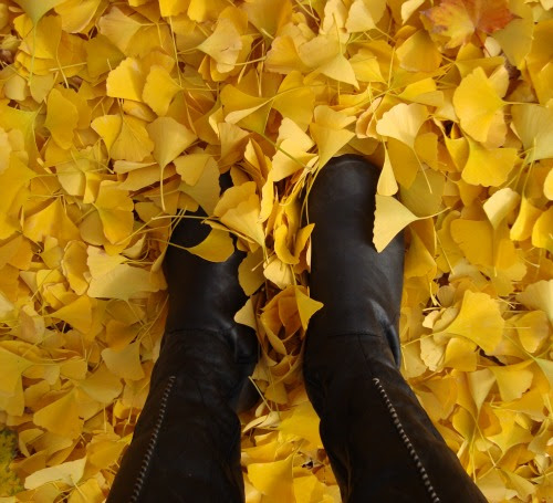 ginkgo carpet