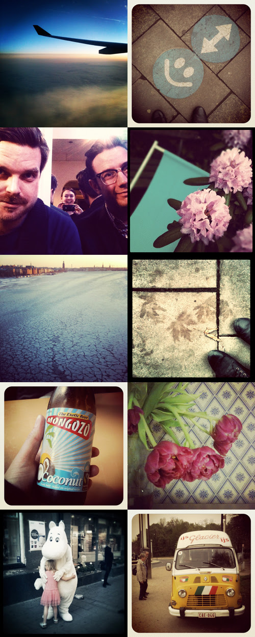 instagrambonanza