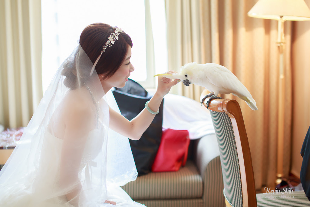 桃園婚攝推薦-戶政-登記結婚
