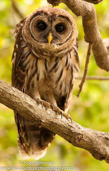 Photo & Video Sharing by SmugMug Photo & Video Sharing by SmugMug