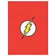 Flash Logo Fabric Poster Wall Hanging