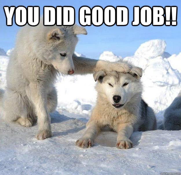 Great Job Meme : 25 Best Memes About Great Job Funny Great Job Funny
