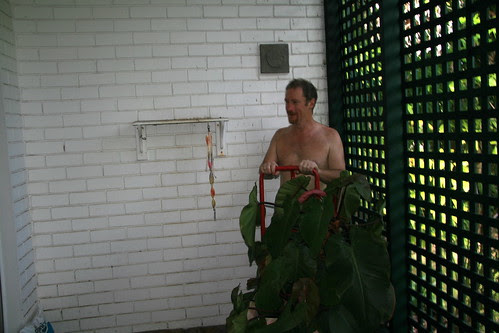Roger moves the plant