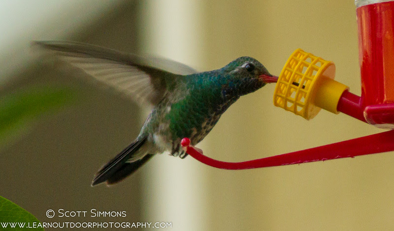 Photo & Video Sharing by SmugMug Photo & Video Sharing by SmugMug
