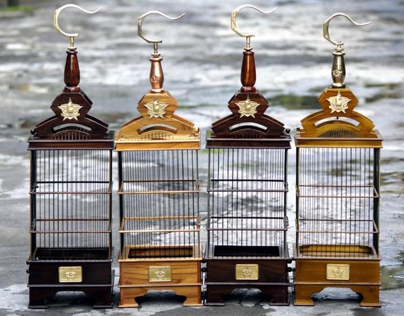 34 Warna Cat Sangkar Burung