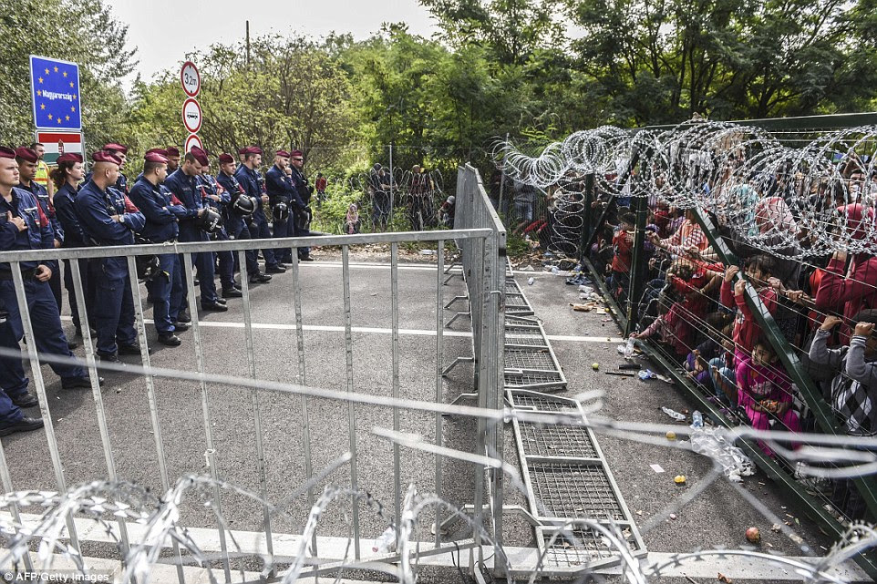 Αποτέλεσμα εικόνας για HUNGARIAN FENCE
