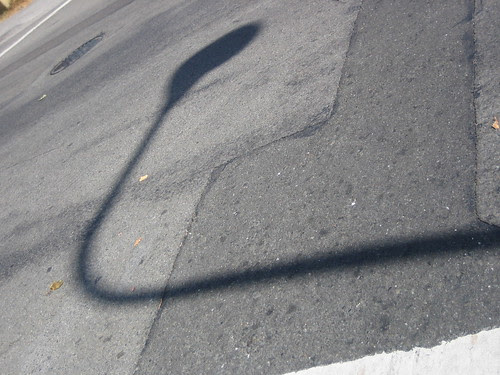 Shadow _ 8920
