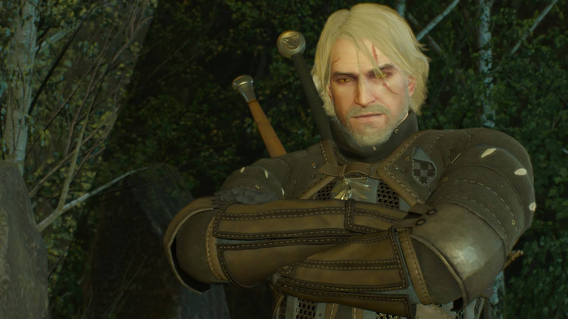 The witcher 3 geralt hairstyle фото 12