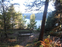 PA080415